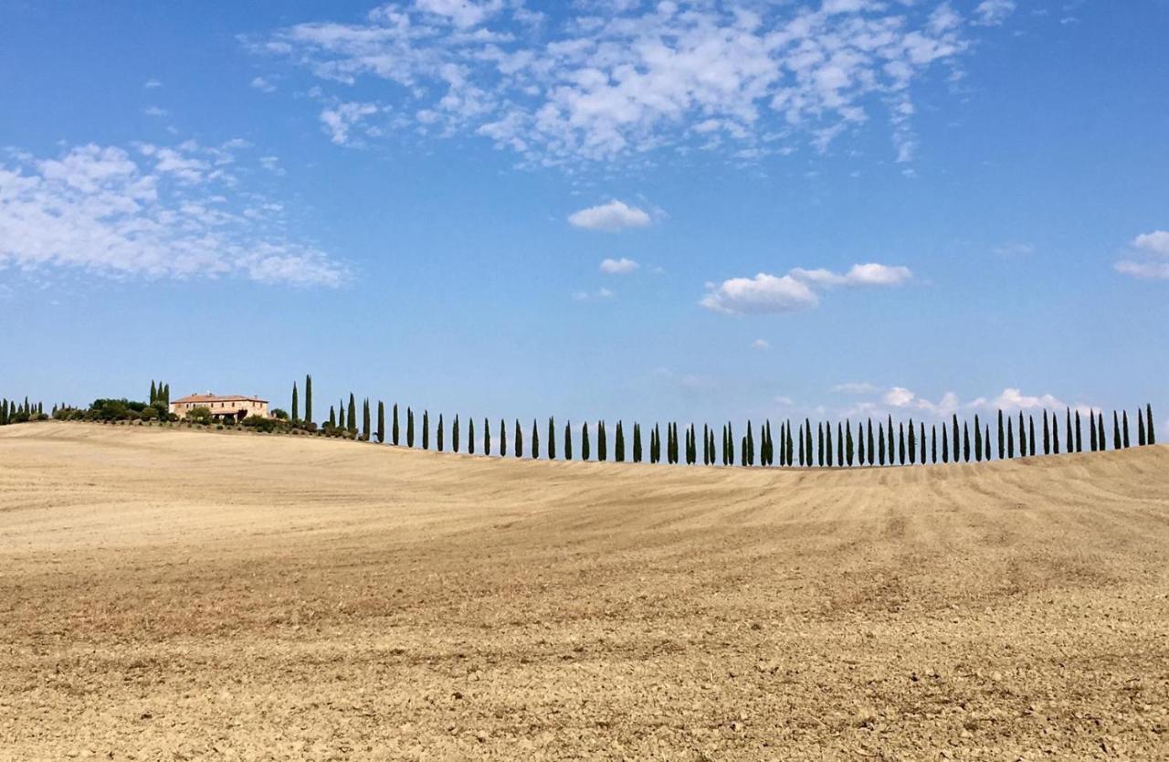 Grove Cottage: Immersed In Nature & Close To Town Città della Pieve Exterior foto